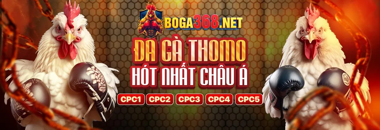 Giao diện hướng dẫn chơi Nổ Hũ trên Zbet App với nút quay và lựa chọn cược