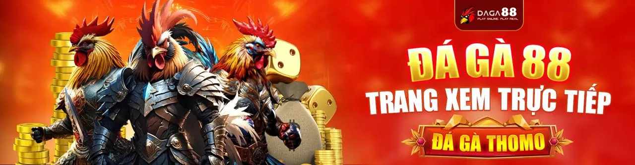 Hình ảnh chính của Blog zbet app về cá cược thể thao và casino